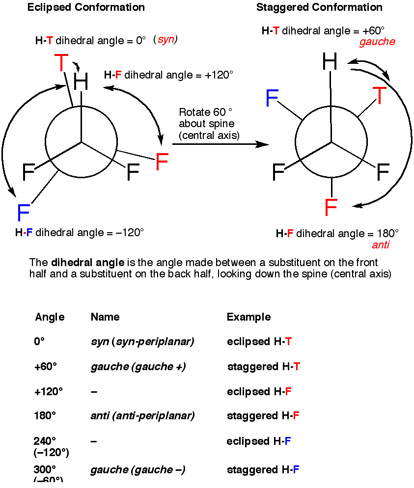 5-synantigauche副本