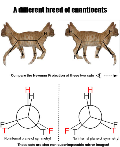 2——enantiocats