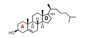案例研究