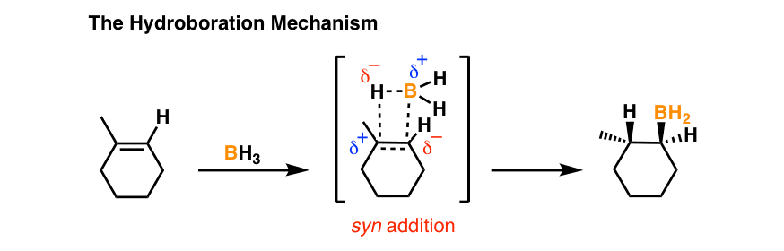 画的硼氢化反应机制1-methylcyclohexene bh3过渡态反马氏产品