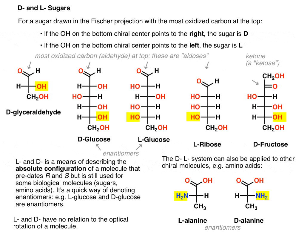 what-are-d-and-l-sugars-summary-in-fischer-projection-oh-on-bottom-chiral-center-points-to-right-it-is-d。