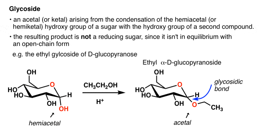 definition-of-glycoside-is-that-it-is-an-acetal-or-ketal-arising-from-the-condensation-of-a-sugar-with-another-hydroxy-group。