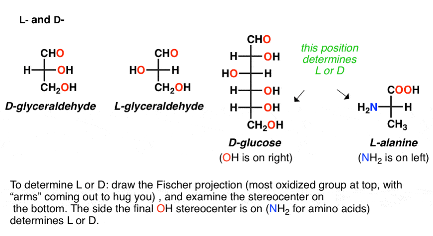 what-is-meaning-of-l-and-d-in-organic-chemistry。