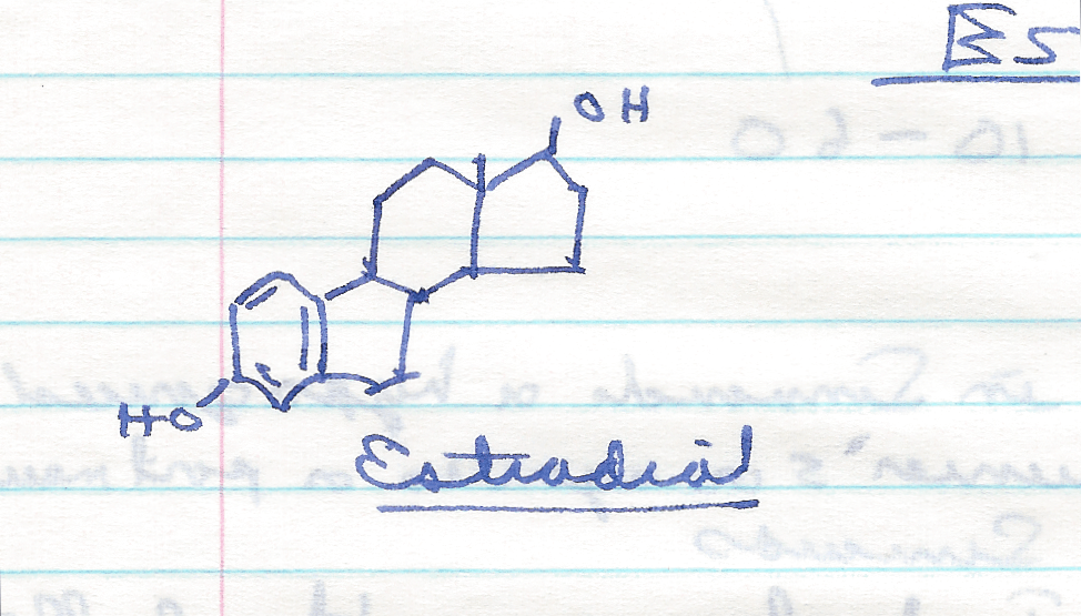 hand-drawing-of-estradiol。
