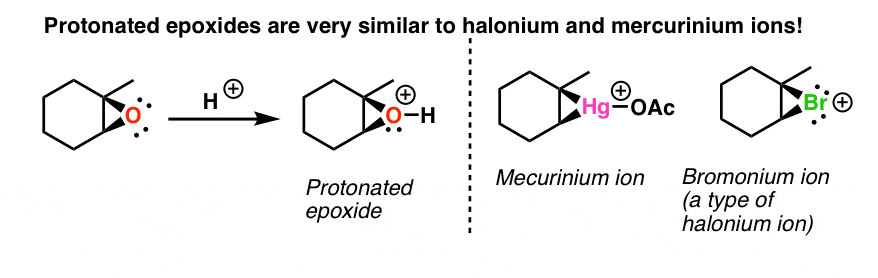 质子化了的环氧化合物非常类似于halonium mercuriniium离子行为同样3元环通路