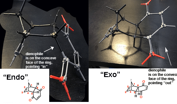使用模型来展示区别endo和挂式endo是更多的杯形和挂式较少