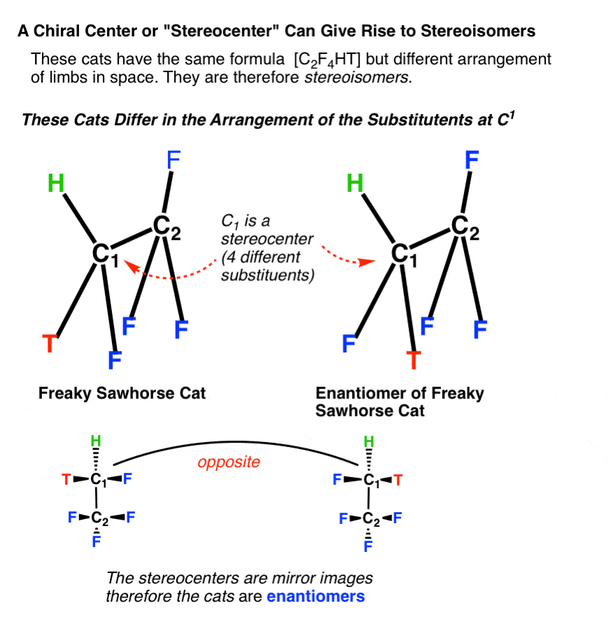 freaky-sawhorse-cat-and-its-enantiomer-differ-in-arrangement-of-substituents-at-c-1 -