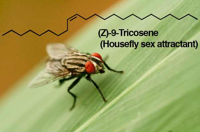 -tricosene家蝇性引诱剂