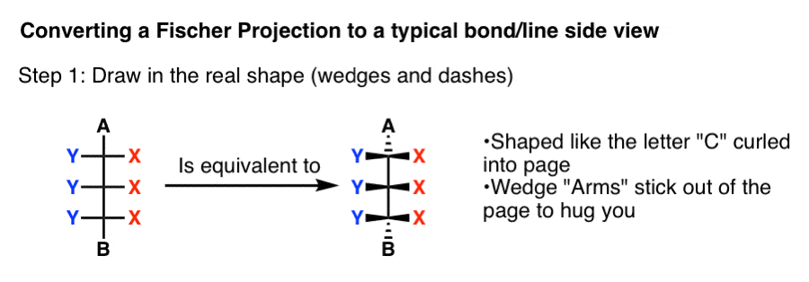 convert-fischer-projection-to-bond-line-diagram-side-view -
