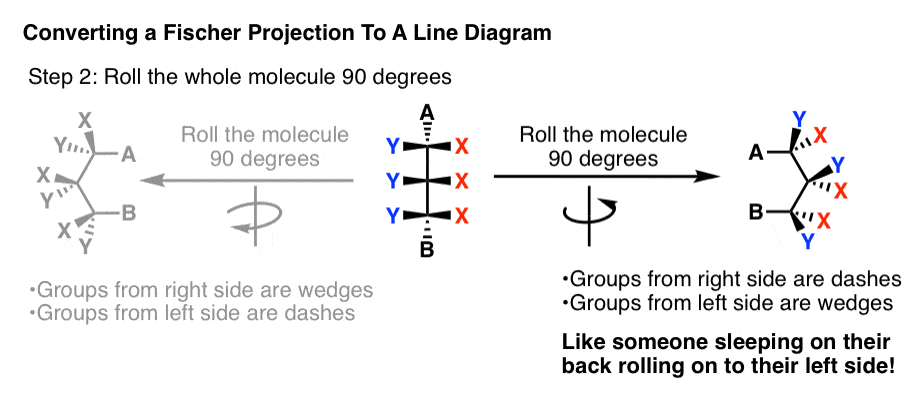 -费舍尔投影转换为-线-图-辊molecle - 90度-其他方向