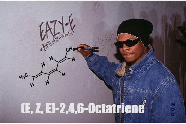 Eazy-E-teaches-E-and-Z-2E-4Z-6E-Octatri-2 4 6-ene-2