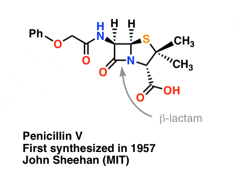 青霉素V的结构由麻省理工学院的john sheehan首次合成