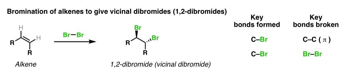 1-bromination br2.gif的烯烃