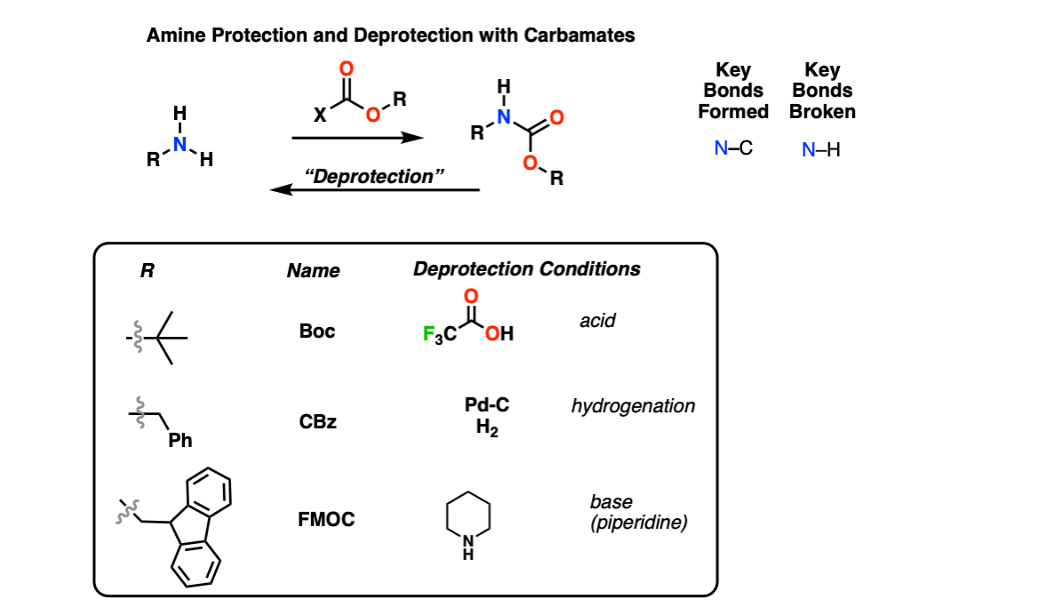 //m.deriinvest.com/reaction-guide/amine-protection-and-deprotection/