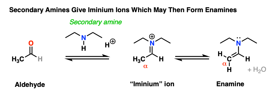 方案形成iminium从二级胺盐和烯胺和醛酮