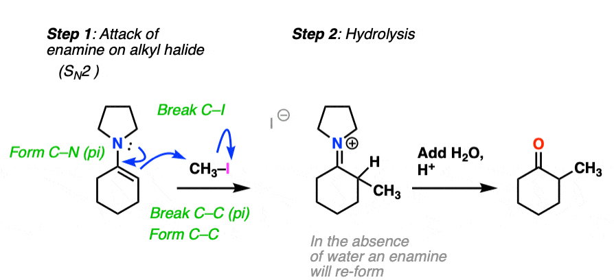 mechanism-for-alkylation-of-enamine-using-ch3i。