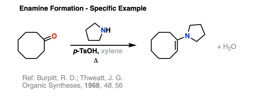 烯胺形成有机合成的例子——cyclodecanone