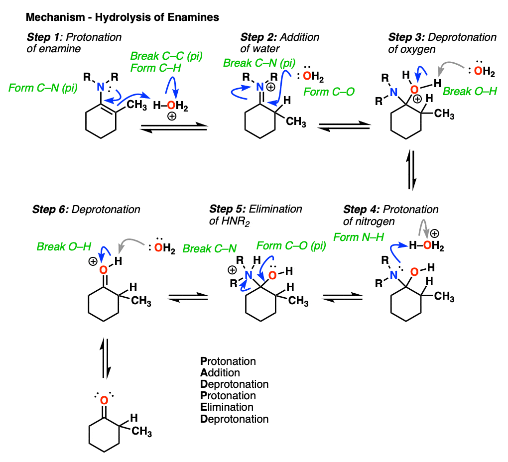 tep-by-step-mechanism-for-hydrolysis-of-enamines-with-aqueous-acid-to-restore-ketone-via-padped-mechanism。