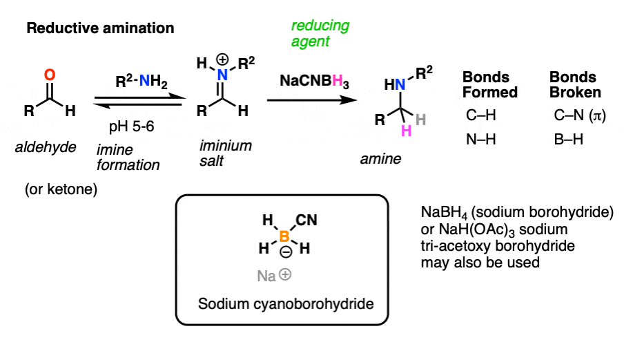 使用钠cyanoborohydride醛或酮的还原胺化作用